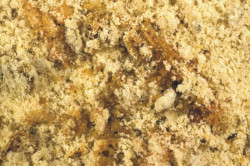 Boilies Tandem Baits zmes Japanese Squid&Fish Mix