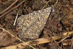 Olovo Riser swivel 70 gr / silt