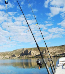 Reporte ktor autor preil so svojimi priatelmi 