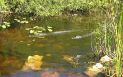 Luxusn ubytovanie na rybrskej vprave