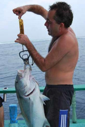 Oddychov prestvka po dlhom cestovan