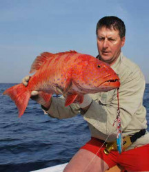 Po chvke potpania nachdzaj krsny koral