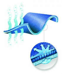 Spodn prdlo s antibakterilnou ochranou