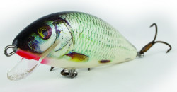 Salmo rybrske voblery Warrior Crank WC15F