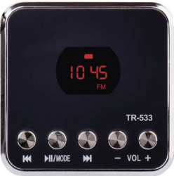 Soundbox EMGO TR533G zlat