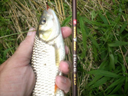 Prvlaov prt Hypercast Felche