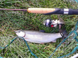 Prvlaov prt Hypercast Felche