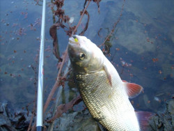 Prt Exo Spin US Spinning