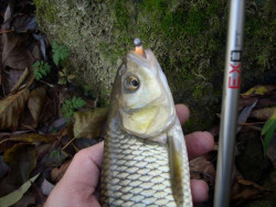 Prt Exo Spin US Spinning