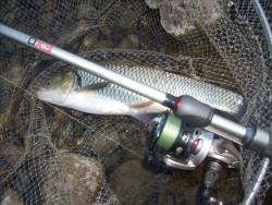 Prt Exo Spin US Spinning