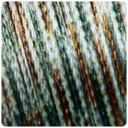 �n�ra Quantum Crypsis Leader- 15m