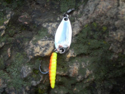  Hned po prch pr nhodoch sme mali rybu na prte o ns ale neprekvapilo nakoko vieme ako tieto larvy ryby chytaj ale aj tak to bola super rybaka