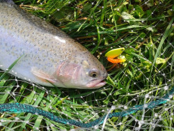  Da fek ktor nm sprjemnil vlet po okol naej malej rieky