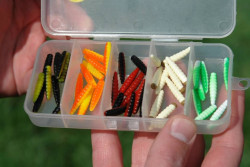  Krsna ryba ktor neodolala zvolenej farbe a my sme sa zase viacej a viacej usmievali