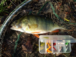  krabika pripraven a naplnen na lov vetkch rb - zaruen zbava na potokoch jazerch ale aj riekach kde sme pochytali pekn ostriee boelen ale aj mal zubiky