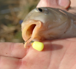 Browning nadvzec Feeder Method/Boilie-Needle- 10cm-8ks