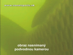 detail na obraz nasnman podvodnou kamerou