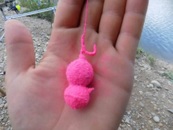 Boilies Radical Pink Tuna