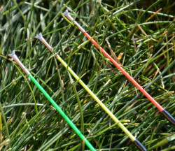 SPORTEX EXCLUSIVE Medium Feeder