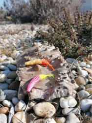 Gumov nstrahy FishUp Tanta 2