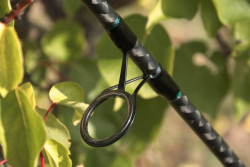 Kaprrske prty SPORTEX Competition CS-4 Breakout 3m