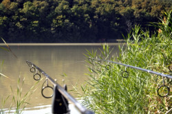 SPORTEX Revolt Carp - kaprrske prty 2-dielne