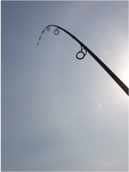 Kaprrske prty SPORTEX Catapult Carp CS-3