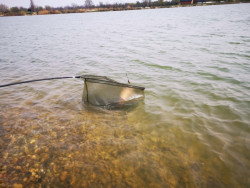 Ve�k� kaprov� podber�k 1*1*2m s plav�kom