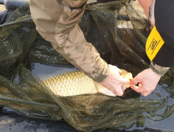 Ve�k� kaprov� podber�k 1*1*2m s plav�kom