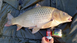  Skvel nstraha na rybaky kde rybr nechce iba sedie ale kde chce aj chyta ryby a ma zbery poas celej rybaky