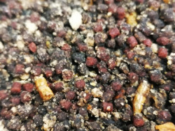 Method Feeder Micro Mass Fish & bioplasma 600g