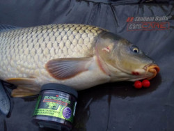 Super Feed Diffusion Mini Boilies pop-up- 14/16mm- 90g