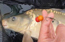 Super Feed Diffusion Mini Boilies pop-up- 14/16mm- 90g