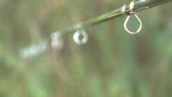 SPORTEX Diamond Fly