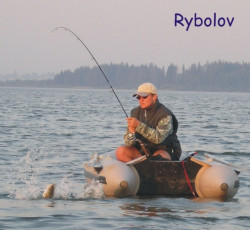 AKCIA - ln SPORTEX 290 + motor Engine 18lbs