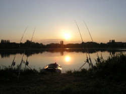 AKCIA - ln SPORTEX 290 + motor Engine 18lbs