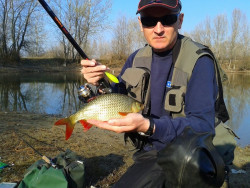 Sbiro Quantum Smart Switch