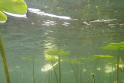  S kvalitnou optikou ponorky Power Ray vytvorte fascinujce zbery do svojho videa alebo fotoalbumu