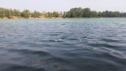  70m dlh napjac kbel umouje vysla ponorky Power Ray na dlh dobrodrun plavbu podvodnm svetom