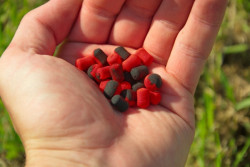 Pop-up Zig Bites nstrahy Crafty Catcher 20g