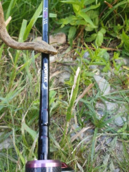 SPORTEX NOVA ULTRA LIGHT Prvlaov prty