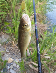 SPORTEX NOVA ULTRA LIGHT Prvlaov prty