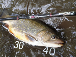 SPORTEX NOVA ULTRA LIGHT Prvlaov prty