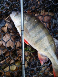 Prvlaov prt SPORTEX Graphenon Spin Ultra Light 1-7g