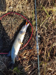 Prvlaov prt SPORTEX Graphenon Spin 2diel