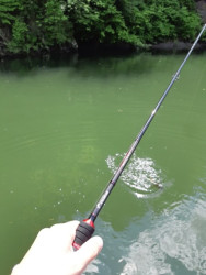 Prvlaov prt SPORTEX Captor Spin - 2 dielny