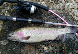 Quantum pr�vla�ov� pr�t Magic Trout Shorty