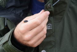 Rybrska bunda RAPTOR 5 - Zelen