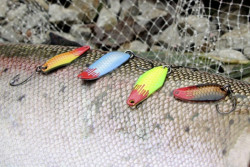 Plandavky Magic Trout Bloody Zoom Spoon 2-5g / 3cm