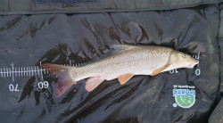 Rybrska podloka pod ryby 120*60cm